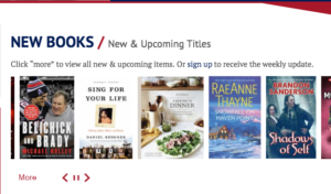 Belmont Public Library Books WOWbrary Integration