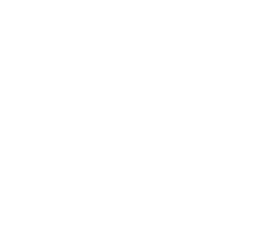 northborough-logo-white